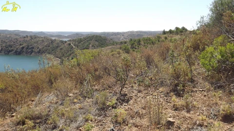 Terreno Agricola ou Rústico para Venda em Castro Marim