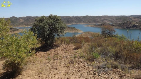 Terreno Agricola ou Rústico para Venda em Castro Marim