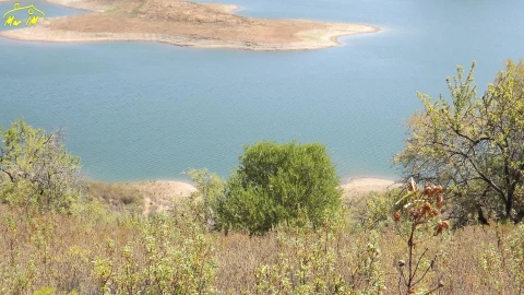 Terreno Agricola ou Rústico para Venda em Castro Marim