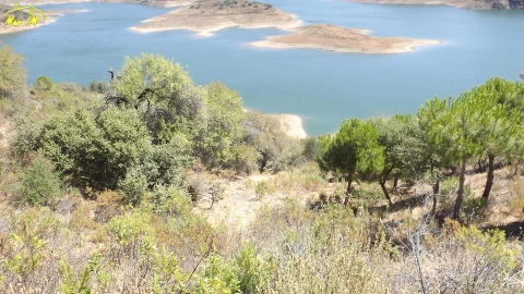 Terreno Agricola ou Rústico para Venda em Castro Marim