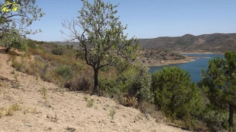 Terreno Agricola ou Rústico para Venda em Castro Marim