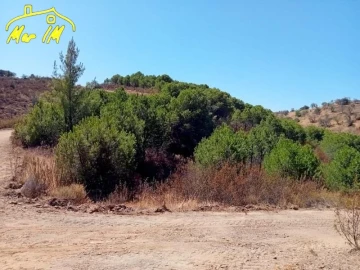 Terreno Agricola ou Rústico para Venda em Castro Marim