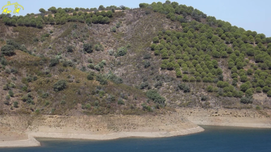 Terreno Agricola ou Rústico para Venda em Castro Marim Foto 12