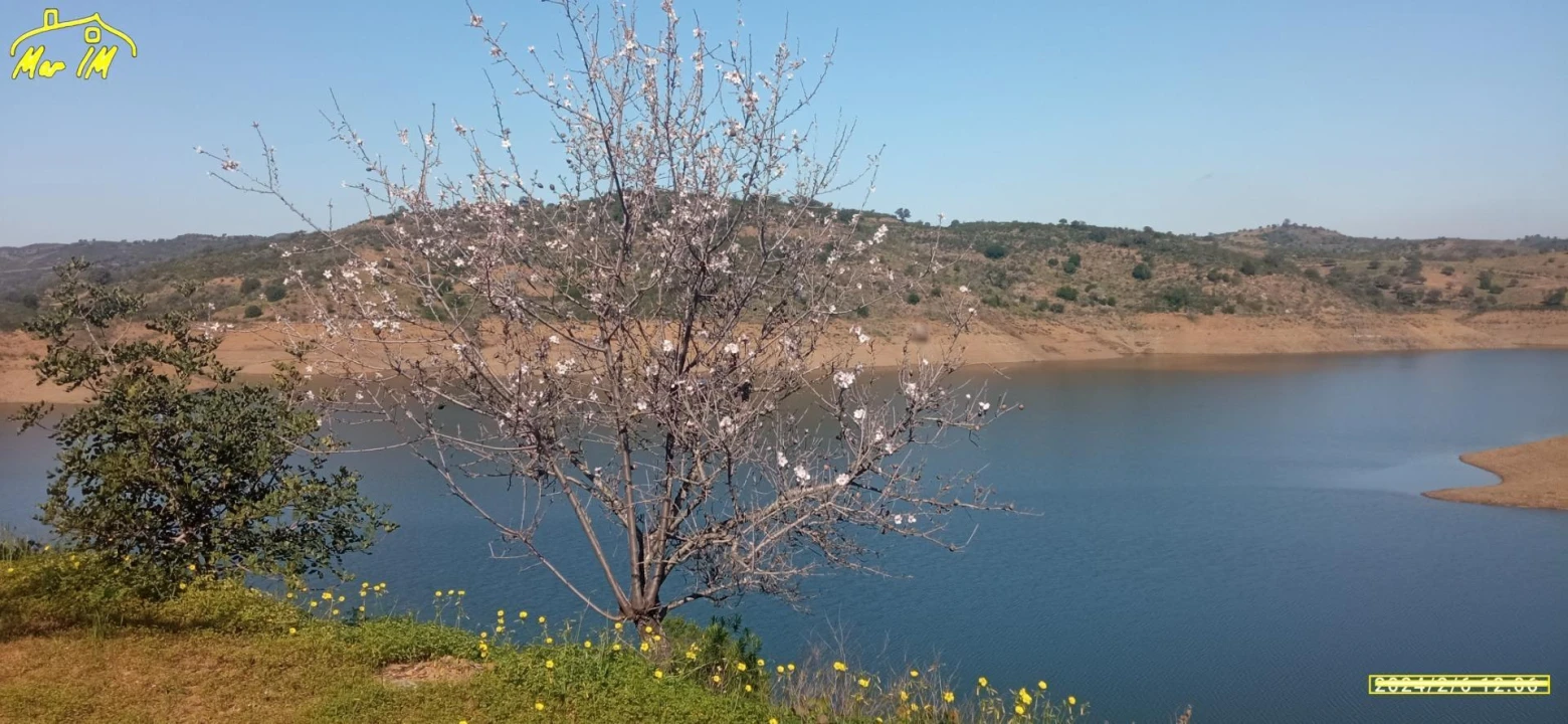 Terreno Agricola ou Rústico para Venda em Castro Marim Foto 1