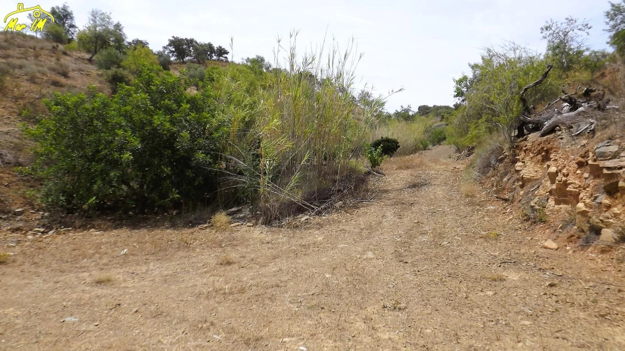 Terreno Agricola ou Rústico para Venda em Castro Marim Foto 10