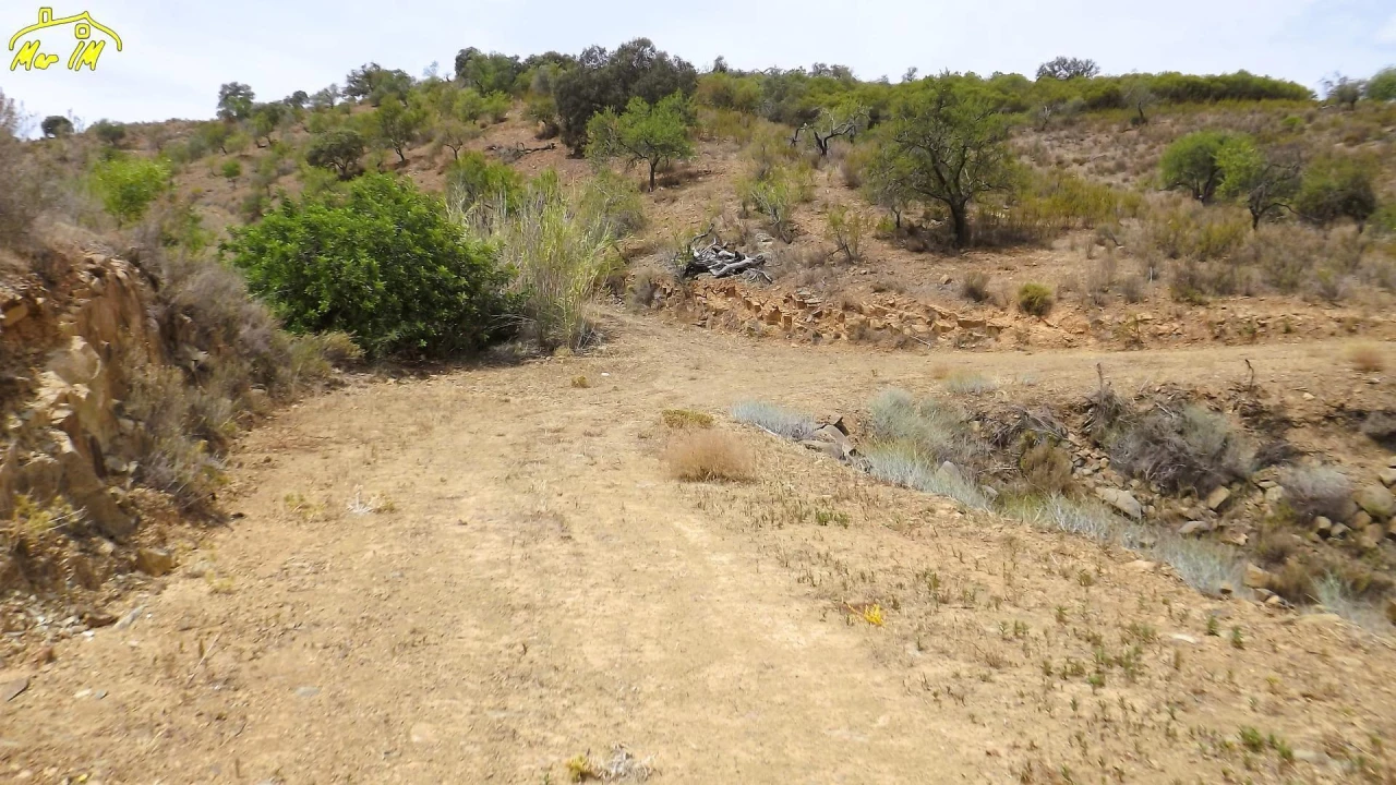 Terreno Agricola ou Rústico para Venda em Castro Marim Foto 11