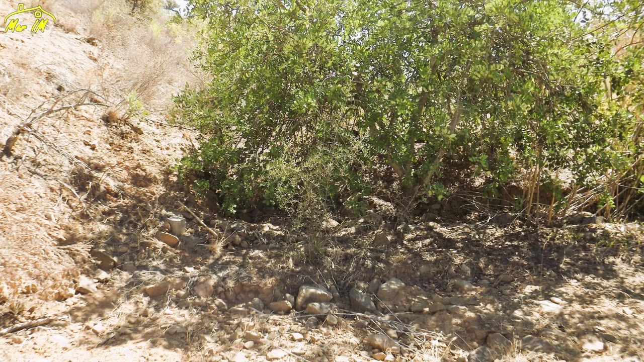 Terreno Agricola ou Rústico para Venda em Castro Marim Foto 31