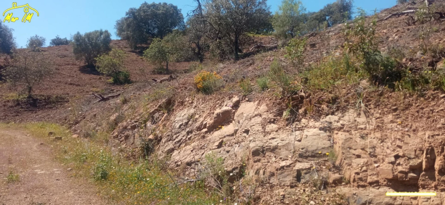 Terreno Agricola ou Rústico para Venda em Castro Marim Foto 39