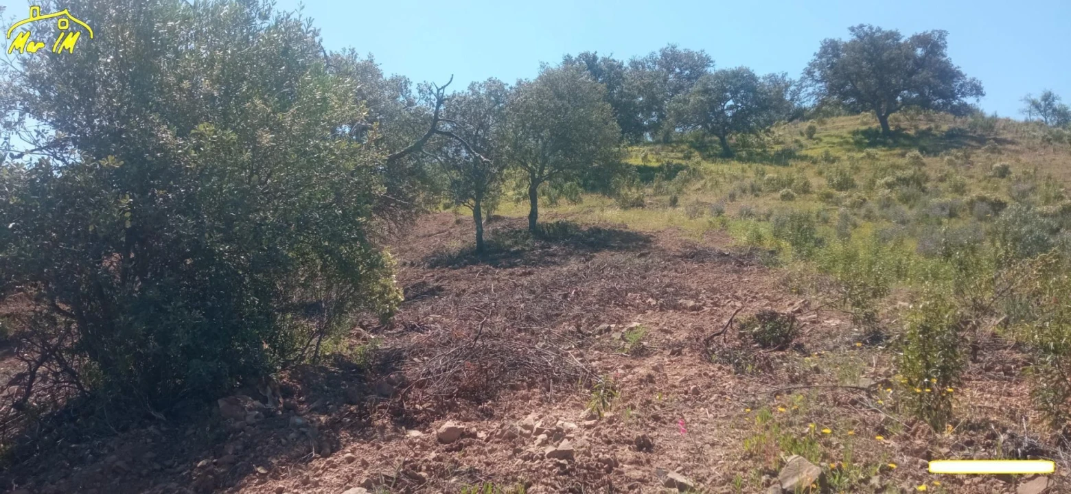 Terreno Agricola ou Rústico para Venda em Castro Marim Foto 44