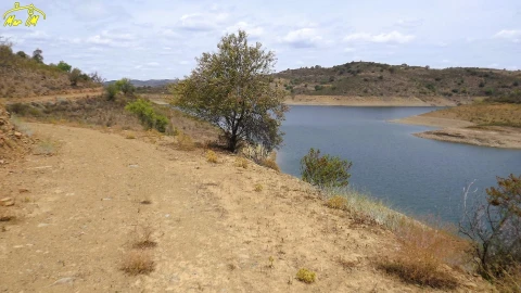 Terreno Agricola ou Rústico para Venda em Castro Marim