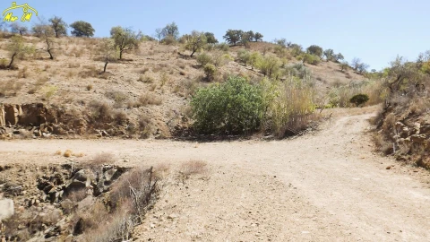 Terreno Agricola ou Rústico para Venda em Castro Marim