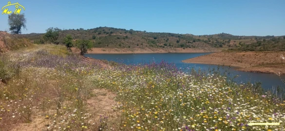 Terreno Agricola ou Rústico para Venda em Castro Marim