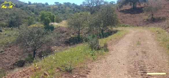 Terreno Agricola ou Rústico para Venda em Castro Marim