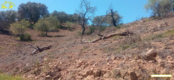 Terreno Agricola ou Rústico para Venda em Castro Marim