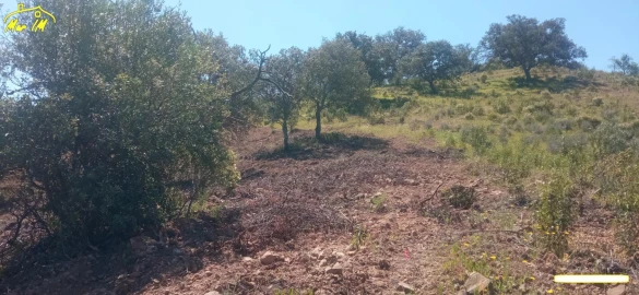Terreno Agricola ou Rústico para Venda em Castro Marim