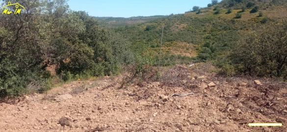 Terreno Agricola ou Rústico para Venda em Castro Marim