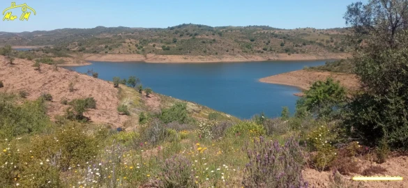 Terreno Agricola ou Rústico para Venda em Castro Marim