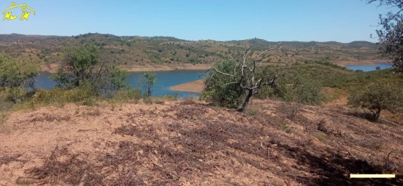Terreno Agricola ou Rústico para Venda em Castro Marim