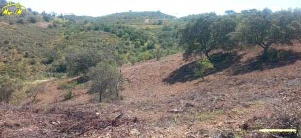 Terreno Agricola ou Rústico para Venda em Castro Marim