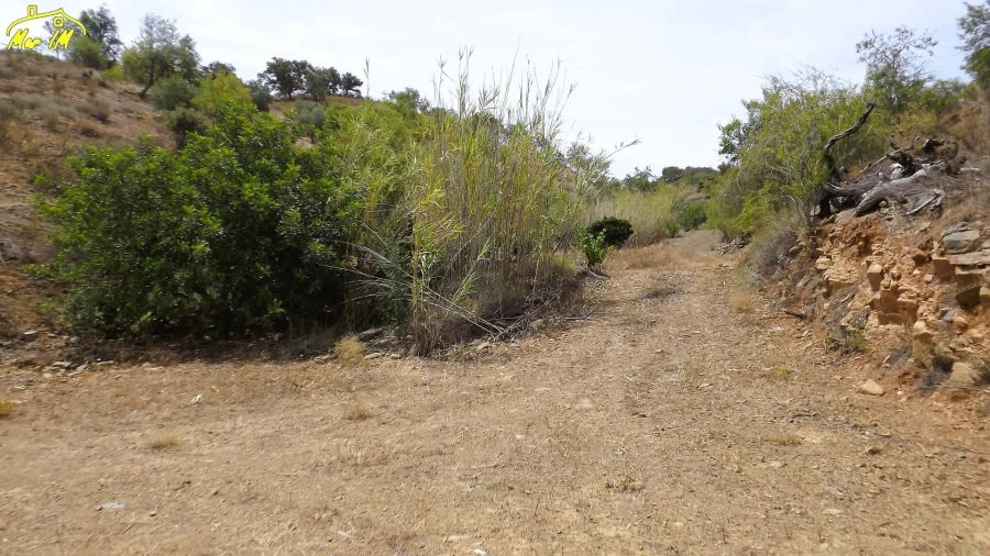 Terreno Agricola ou Rústico para Venda em Castro Marim Foto 10