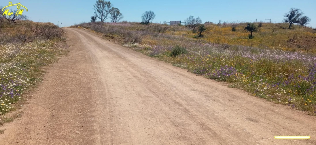 Terreno Agricola ou Rústico para Venda em Castro Marim Foto 35