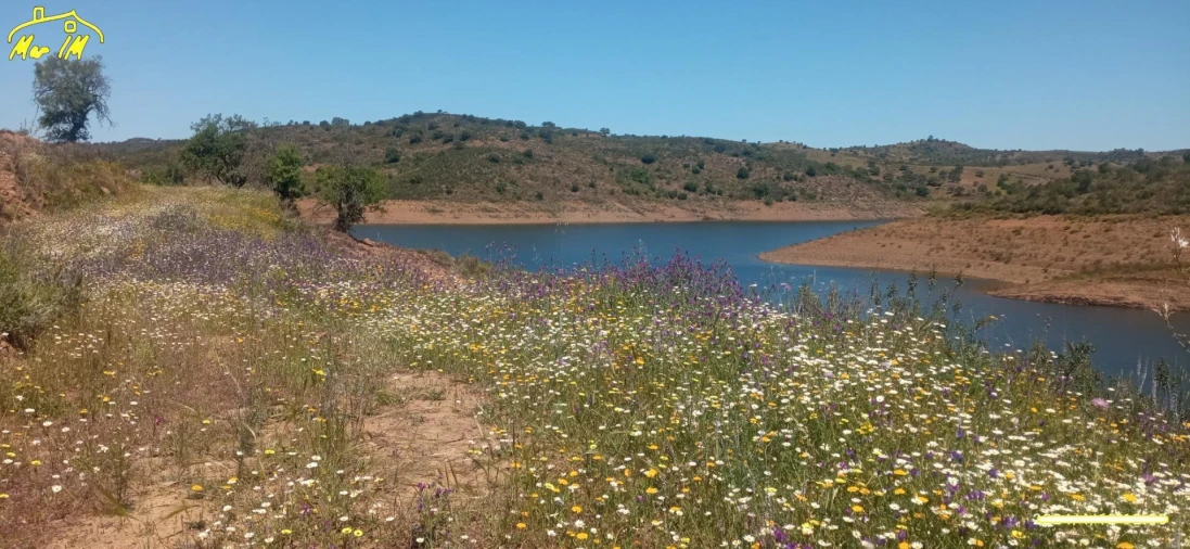 Terreno Agricola ou Rústico para Venda em Castro Marim Foto 36