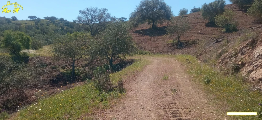 Terreno Agricola ou Rústico para Venda em Castro Marim Foto 38