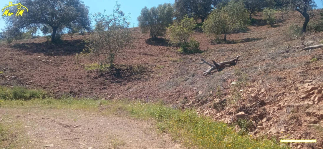 Terreno Agricola ou Rústico para Venda em Castro Marim Foto 42