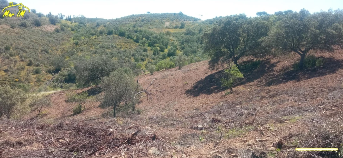 Terreno Agricola ou Rústico para Venda em Castro Marim Foto 50