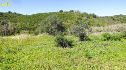 Terreno Agricola ou Rústico para Venda em Castro Marim