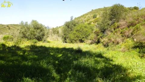 Terreno Agricola ou Rústico para Venda em Castro Marim