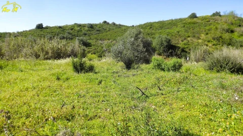 Terreno Agricola ou Rústico para Venda em Castro Marim