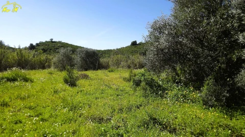 Terreno Agricola ou Rústico para Venda em Castro Marim