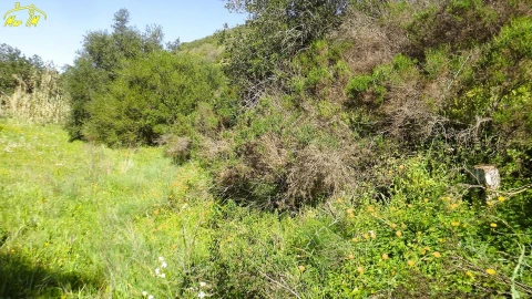 Terreno Agricola ou Rústico para Venda em Castro Marim