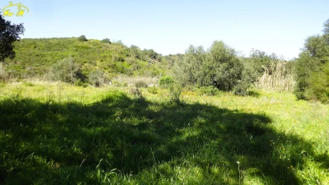Terreno Agricola ou Rústico para Venda em Castro Marim