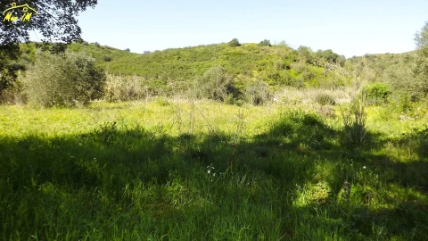 Terreno Agricola ou Rústico para Venda em Castro Marim