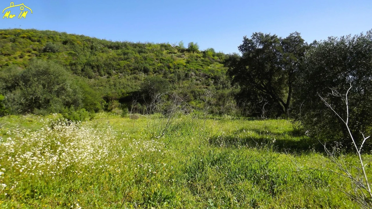 Terreno Agricola ou Rústico para Venda em Castro Marim Foto 13