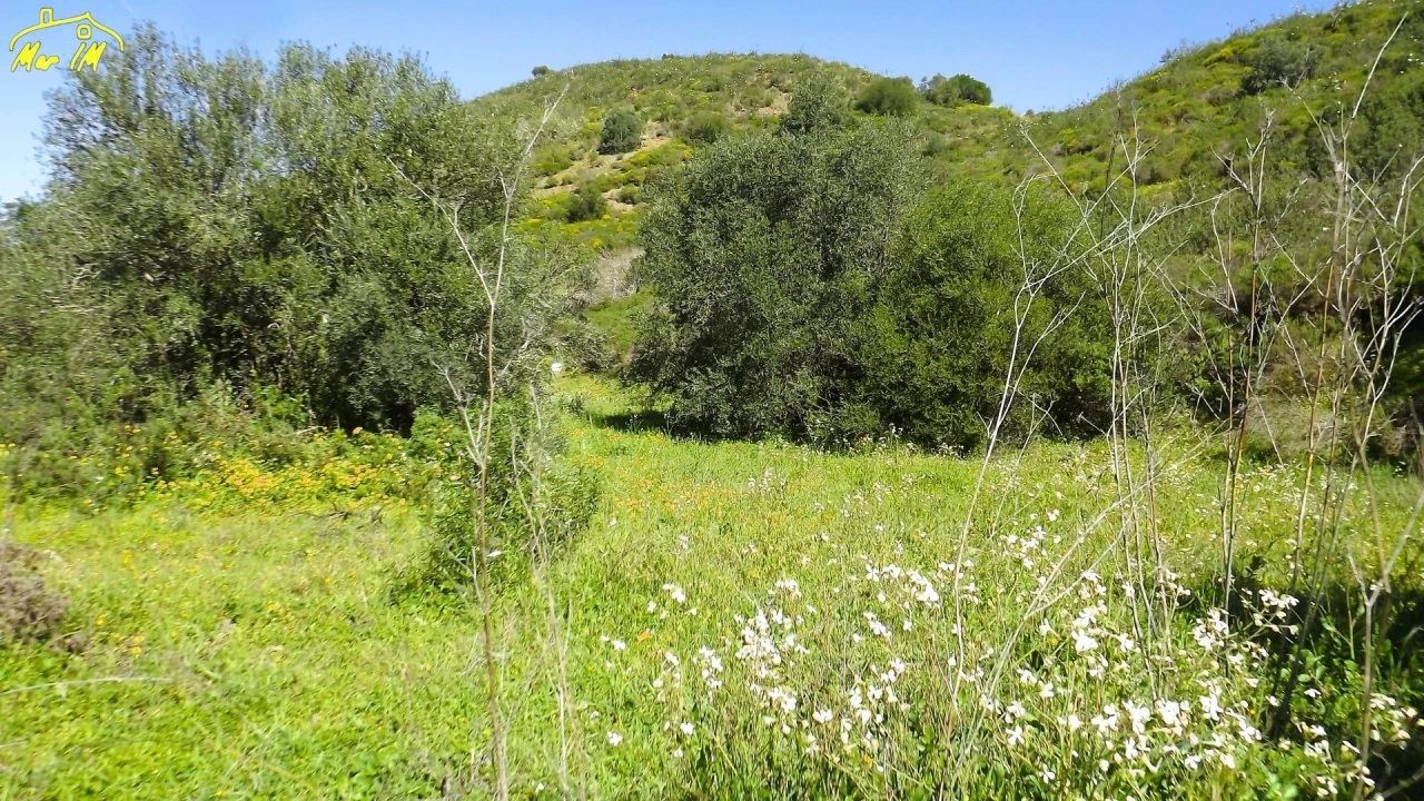 Terreno Agricola ou Rústico para Venda em Castro Marim Foto 8