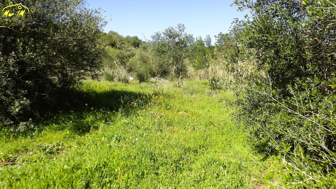 Terreno Agricola ou Rústico para Venda em Castro Marim Foto 1