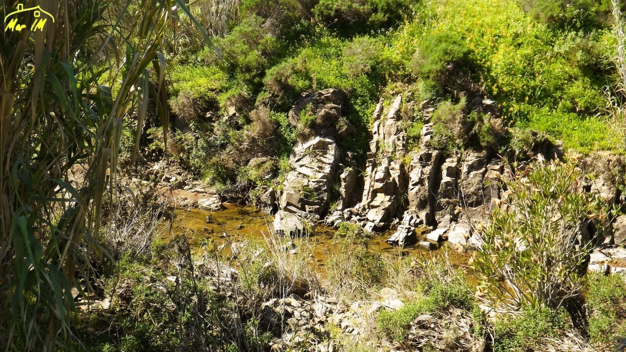 Terreno Agricola ou Rústico para Venda em Castro Marim Foto 4