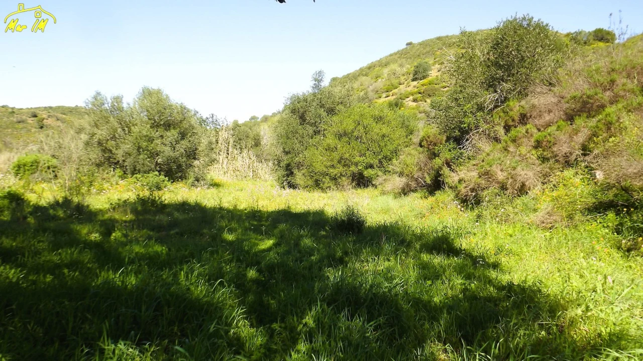 Terreno Agricola ou Rústico para Venda em Castro Marim Foto 5