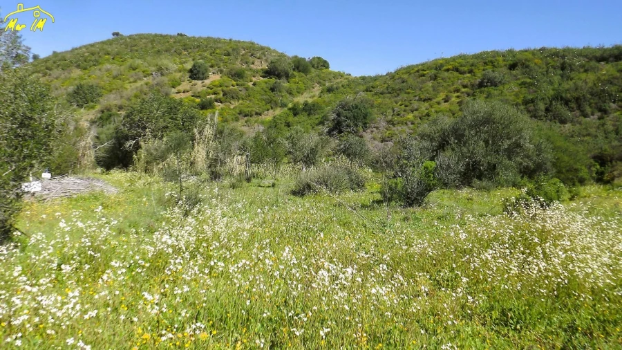 Terreno Agricola ou Rústico para Venda em Castro Marim Foto 12