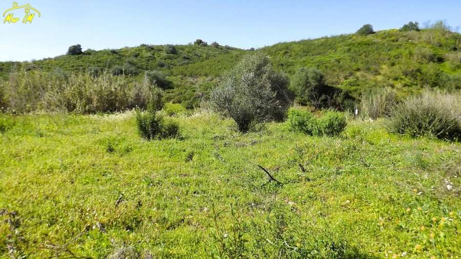 Terreno Agricola ou Rústico para Venda em Castro Marim Foto 18
