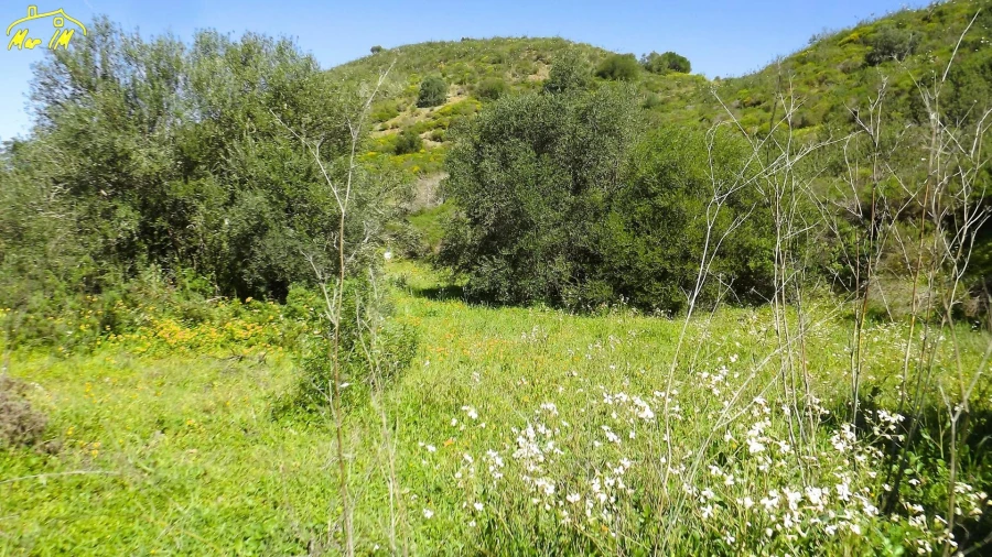 Terreno Agricola ou Rústico para Venda em Castro Marim Foto 8