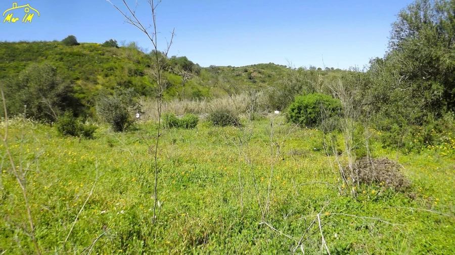 Terreno Agricola ou Rústico para Venda em Castro Marim Foto 10