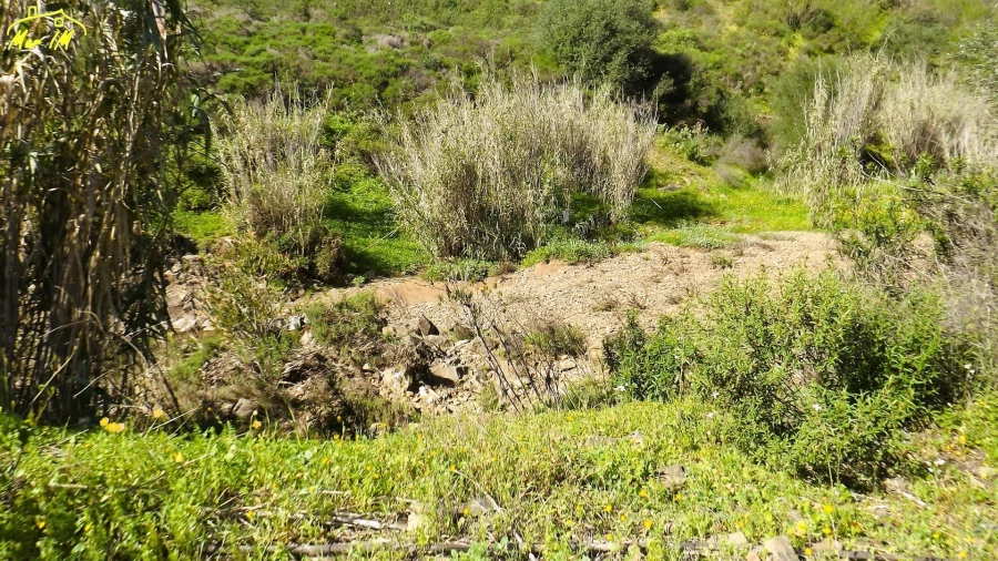 Terreno Agricola ou Rústico para Venda em Castro Marim Foto 11