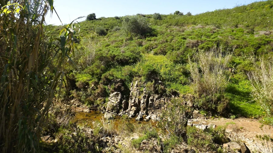 Terreno Agricola ou Rústico para Venda em Castro Marim Foto 12