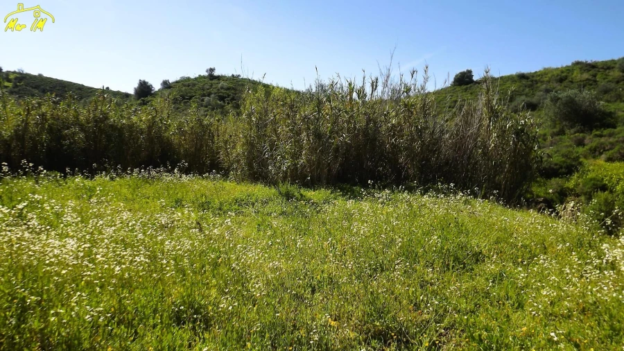 Terreno Agricola ou Rústico para Venda em Castro Marim Foto 16