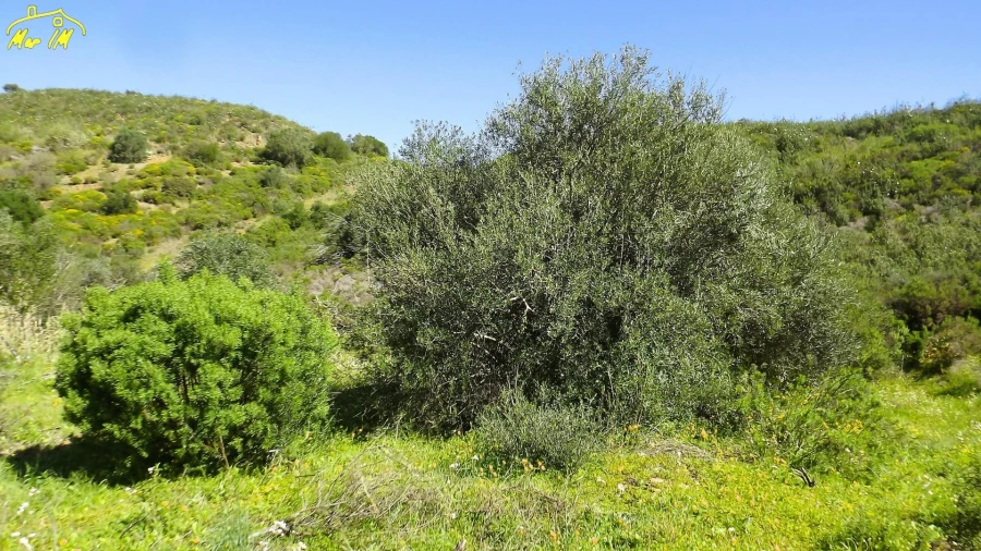 Terreno Agricola ou Rústico para Venda em Castro Marim Foto 17