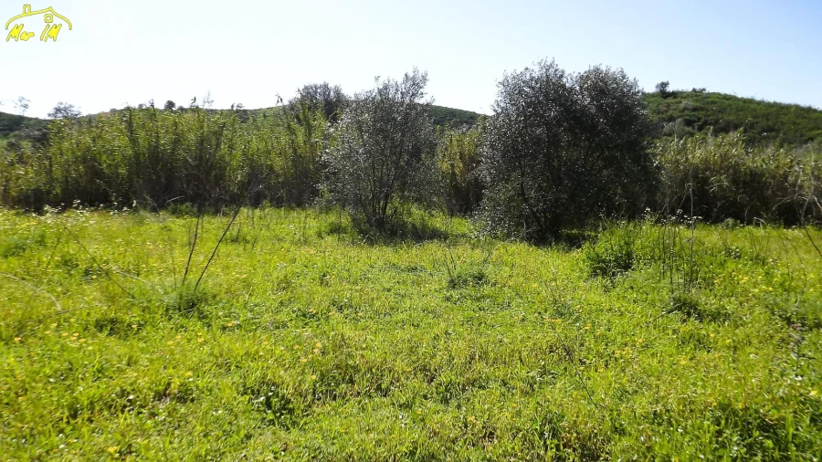 Terreno Agricola ou Rústico para Venda em Castro Marim Foto 18